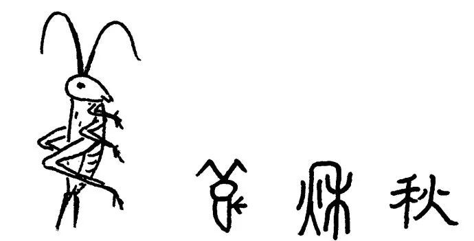 古代漢字中的秋字鬥蟋蟀首先要挑身強力壯,善斗的要選頭大,牙大