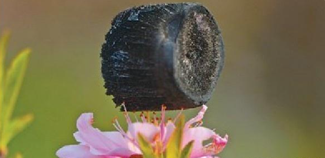 一捏就碎,比空气还轻,中国造气凝胶,凭啥为火星车保驾护航?