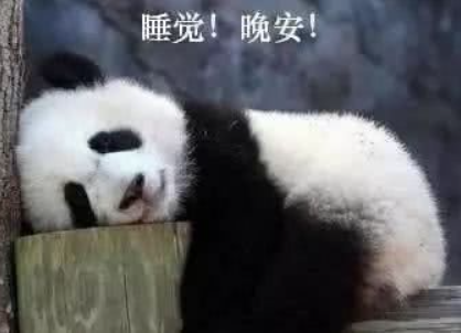 表情包可爱的熊猫表情包来啦