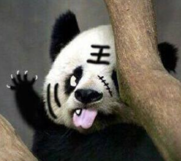 表情包可爱的熊猫表情包来啦