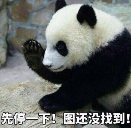 表情包可爱的熊猫表情包来啦