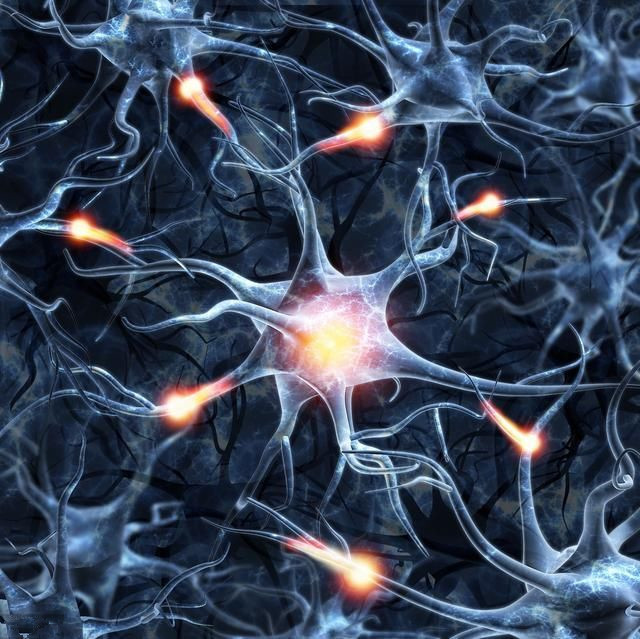 脑神经科学家感到一个头两个大!