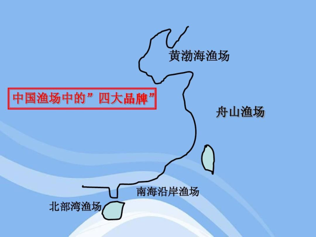海洋的"报复":过度捕捞二十年,舟山渔场已成"死海"?