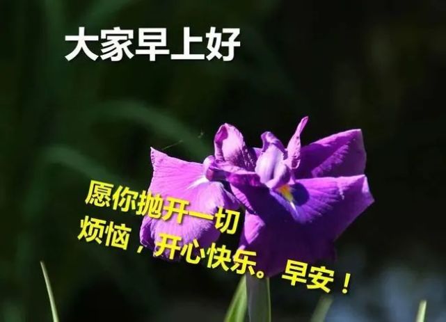 大家早上好,早上好動態圖片表情包,早晨好漂亮圖片祝福語句子