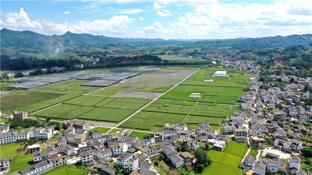 航拍贵州惠水美丽田园"好花红"