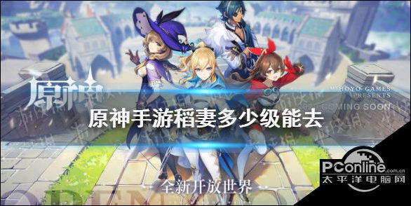 原神手游稻妻多少级能去前往稻妻攻略