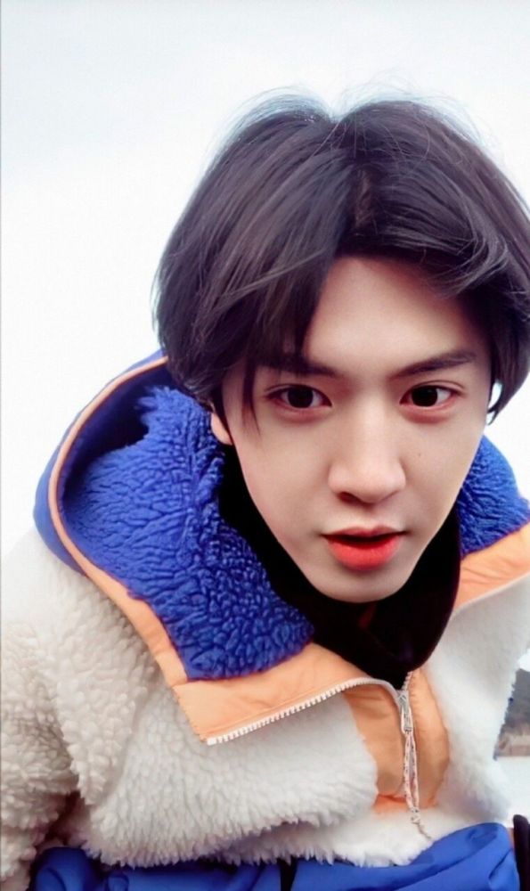 手机壁纸陈哲远