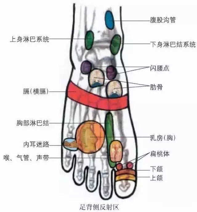 乳腺增生怎样治愈(乳腺增生怎样治愈有什么偏方)