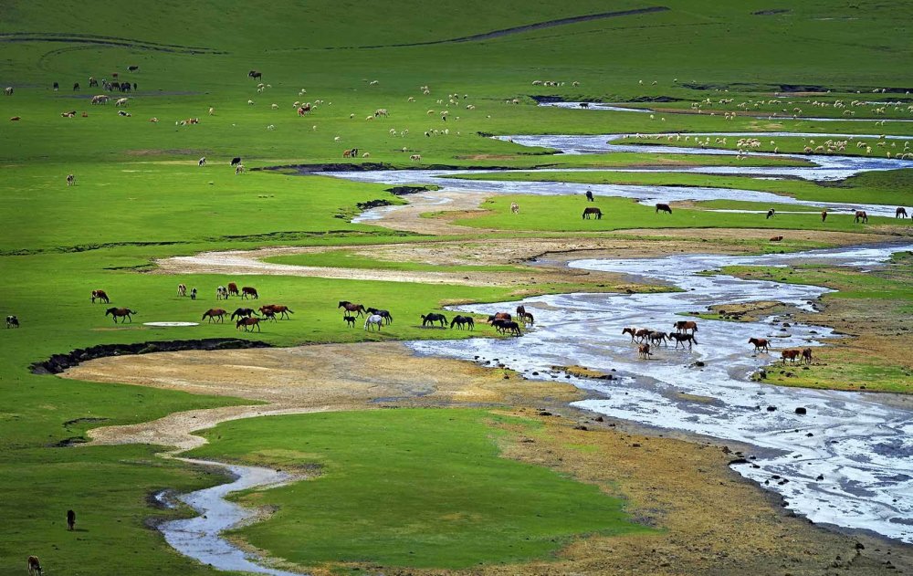 北京周边最近的贡格尔草原