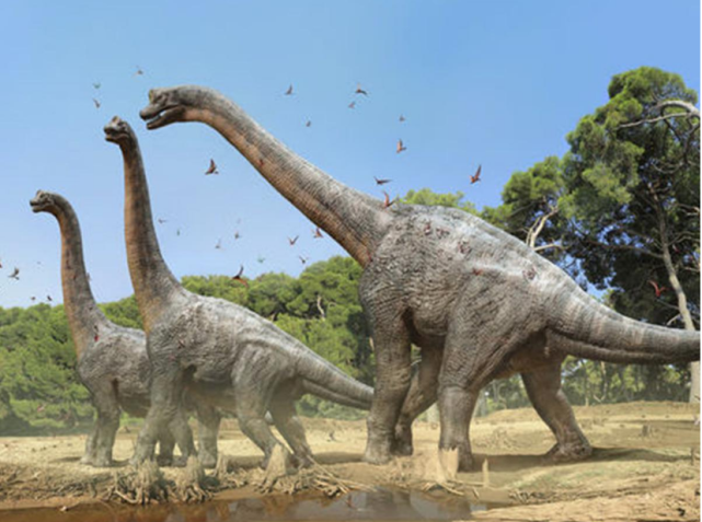 1864年,美军抓到一只"翼龙",还拍下了照片,这会是真的吗?