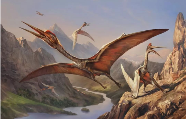 1864年,美军抓到一只"翼龙",还拍下了照片,这会是真的吗?