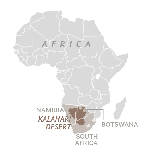 (kalahari desert).