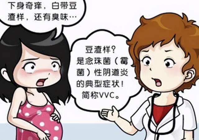 女性懷孕後,由於體內激素水平變化,陰道ph值發生改變,陰道炎發生的