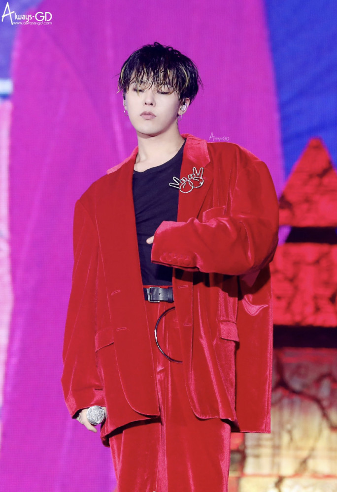 志龙欧巴呀|花开了,他回来了