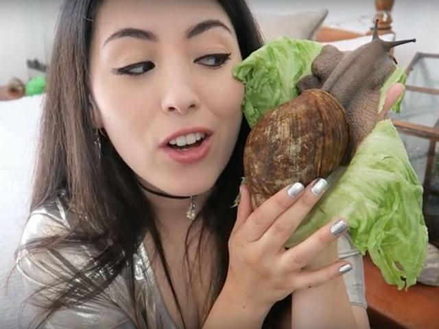 吃蜗牛佩服非洲人当地蜗牛差点灭绝多亏专家来帮忙