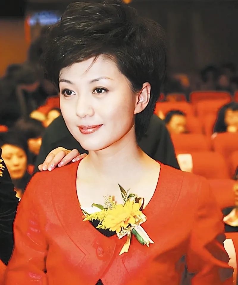 中央电视台10大漂亮女主持个个美丽动人你最喜欢谁