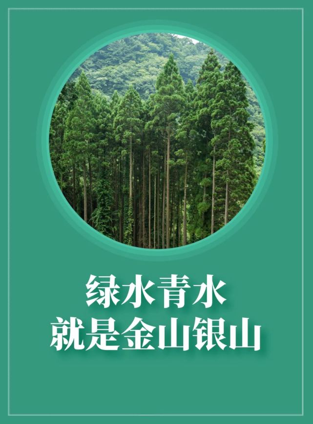 保护生态环境人人有责