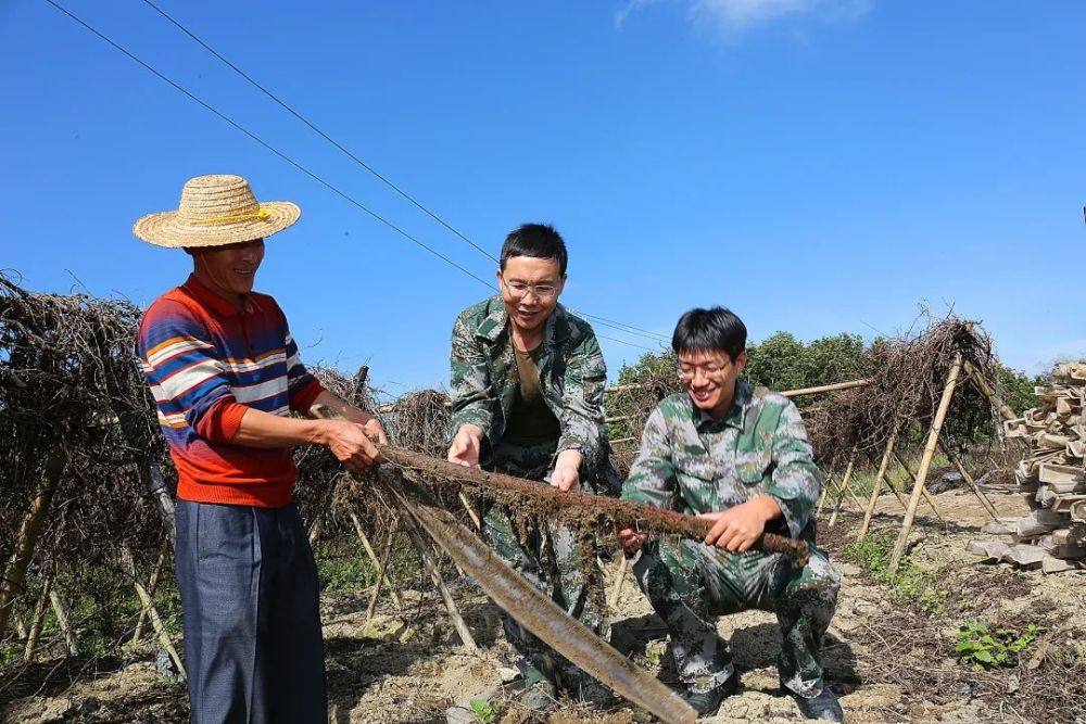 身边的榜样丨陈晓刚:勇挑脱贫攻坚重担 促进民族团结进步_腾讯新闻