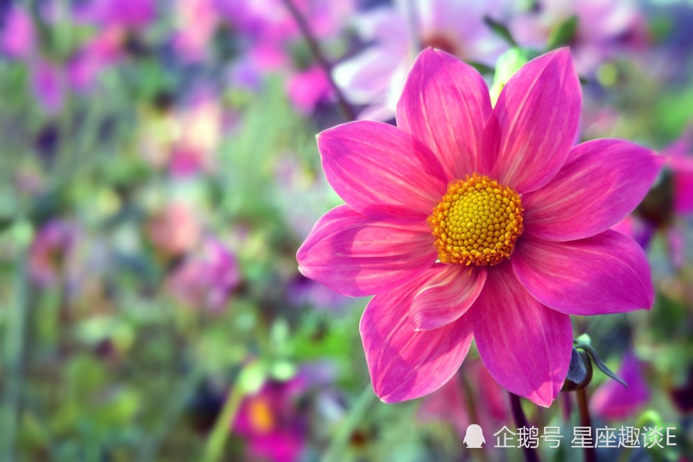 9月1日星座运势 贵人相助 实力大涨的四大星座 腾讯新闻