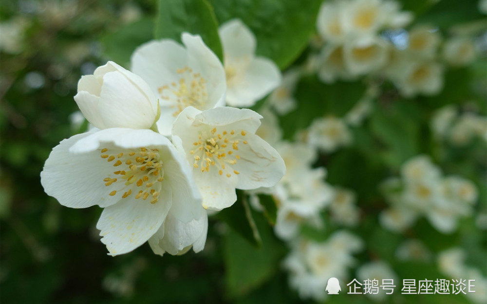 9月1日星座运势 双子居安思危 天秤目标明确 水瓶积极向上 腾讯新闻