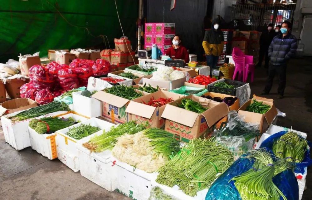 绿藤市民集合跟着扫黑风暴打卡长沙