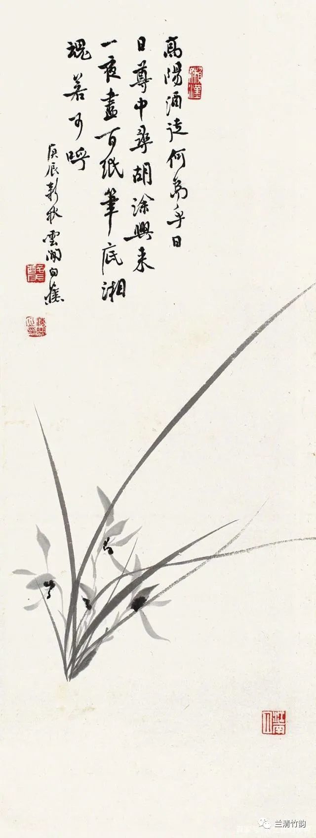 【怎样画兰】白蕉画兰花,被称为兰花王,在画兰花上300年无出其右者!