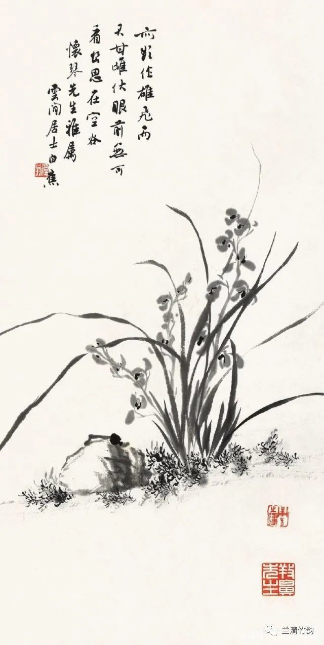 怎樣畫蘭白蕉畫蘭花被稱為蘭花王在畫蘭花上300年無出其右者