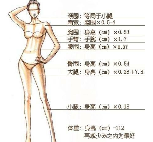2021最新女生标准身材表