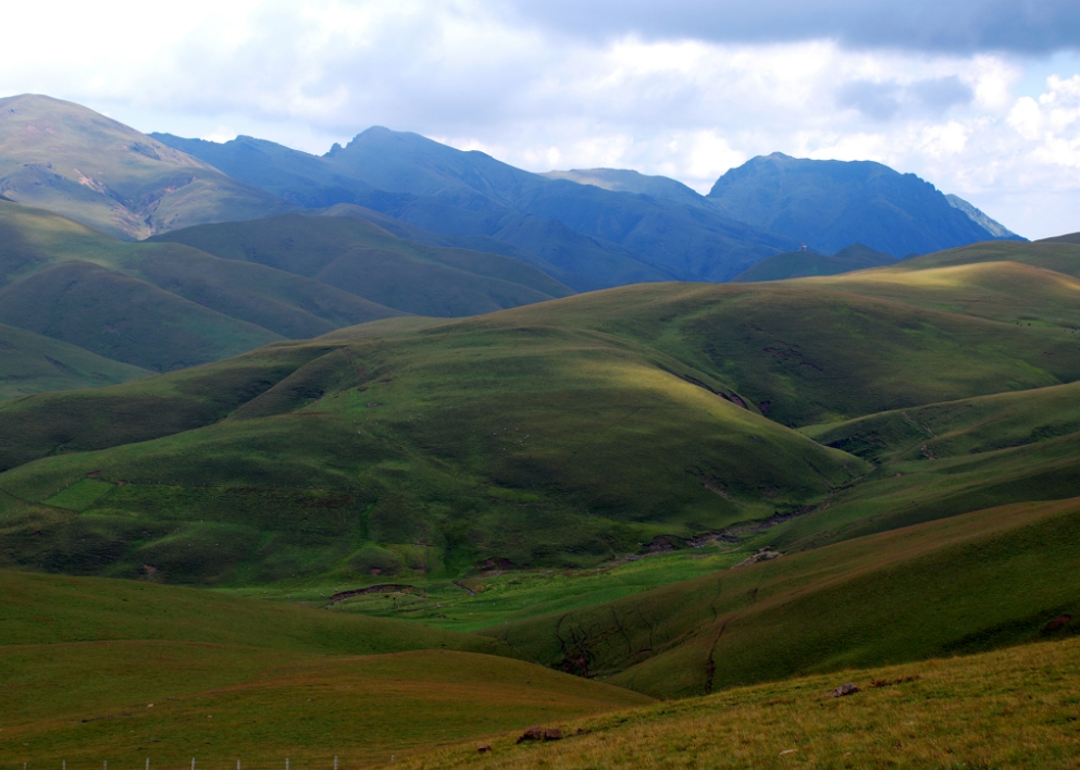 云南这处绝美景区坐拥18万亩草原门票40元知道的人却不多