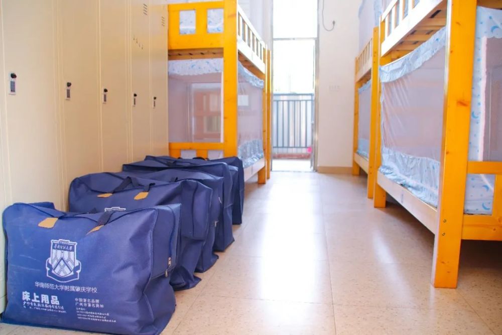 肇庆华附|万事俱备,就等你来!_腾讯新闻