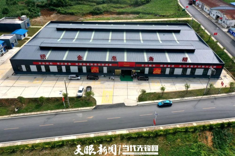织金县猫场镇建成西南地区最大的皂角米加工基地
