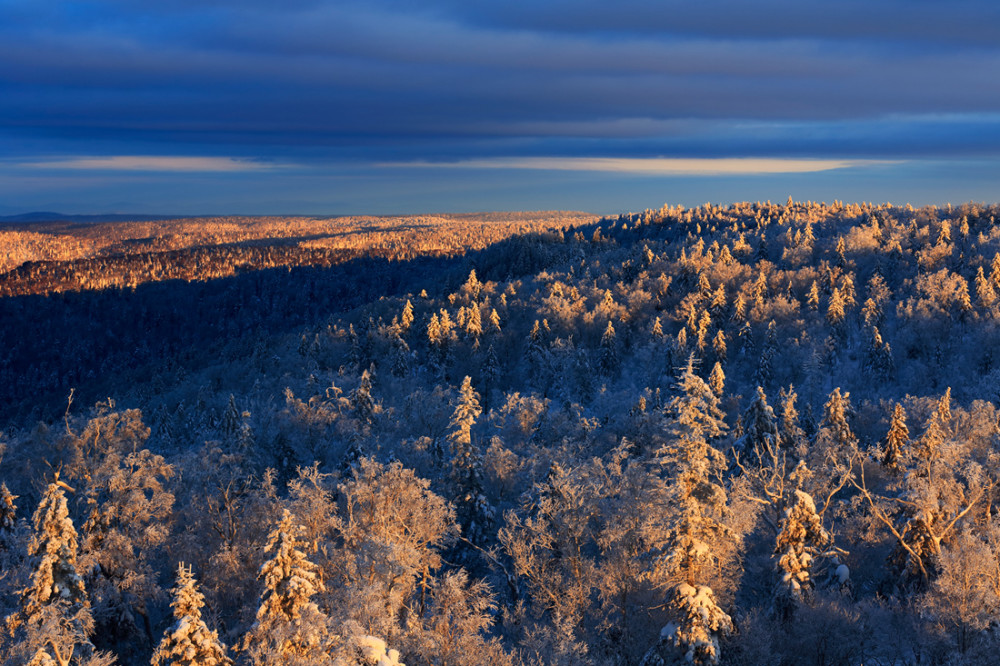 东北第一山千年积雪万年松海拔高2749米的将军峰在朝鲜境内