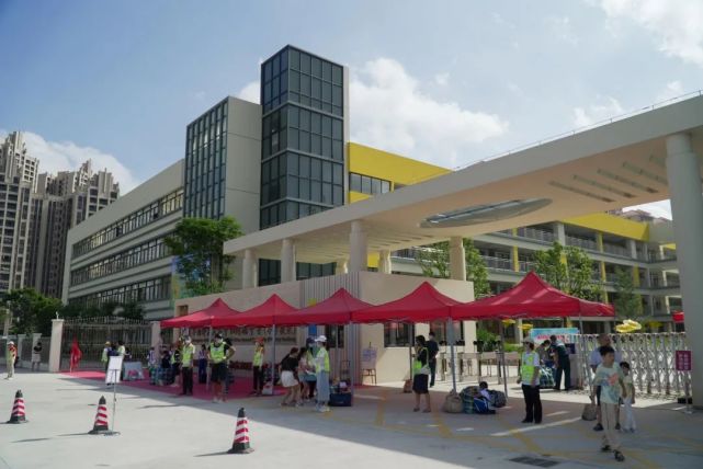 他们是中山华附小学校区最美的风景