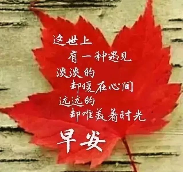 早上好朋友正能量問候語圖片大全早晨好漂亮圖片帶字動畫