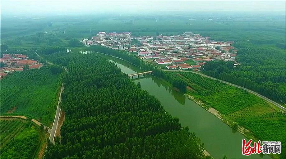 走进乡村看小康|河北南皮县十二里村:大运河畔果飘香