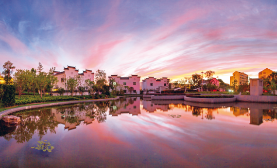 江南·街镇|新泾镇:谱写水脉,绿脉,文脉融合的新篇章