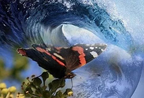 在这个发现的基础上后来就出现了著名的蝴蝶效应,意思就是印度有一只