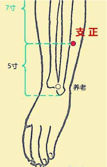 【支正穴位的作用功效】【支正穴的位置】位於人體的前臂背面尺側,當