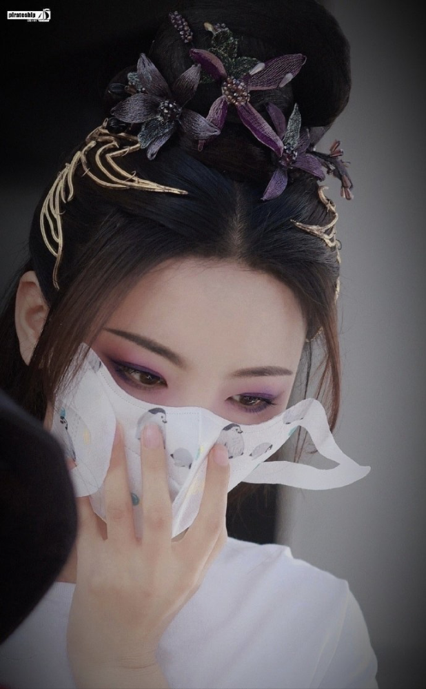 《重紫》公布演员角色照，阵容像是《陈情令》和《山河令》在开会