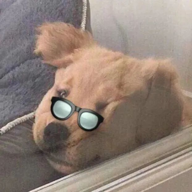 眼镜往下滑 不是因为鼻梁低 配眼镜必看的3 点 很多人都不知道 全网搜