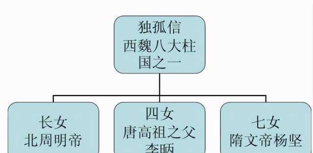 独孤信,三个皇帝的老丈人|隋唐|唐朝|独孤信|关陇集团|隋朝