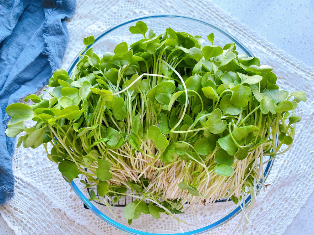 2分钟教你上汤鸡毛菜脆嫩爽口翠绿有营养秋天吃能润燥补钙