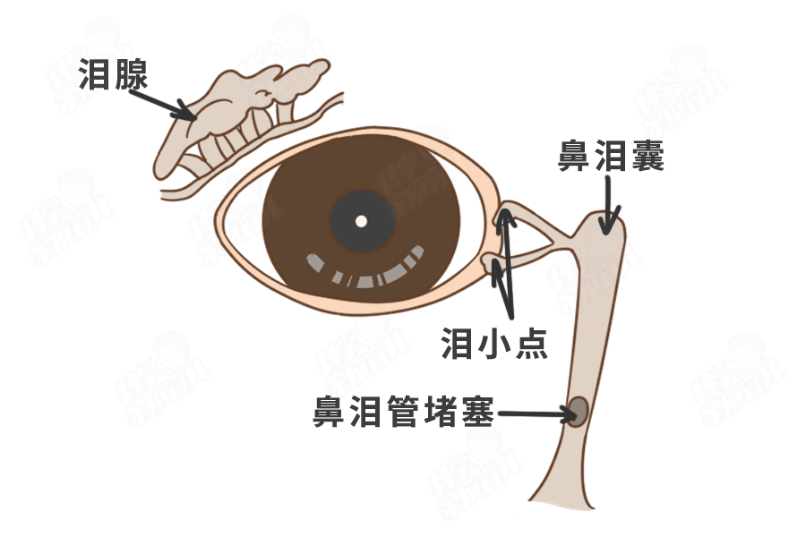 堵塞鼻子怎么办_鼻子堵塞怎么快速解决?_堵鼻子最快的解决方法