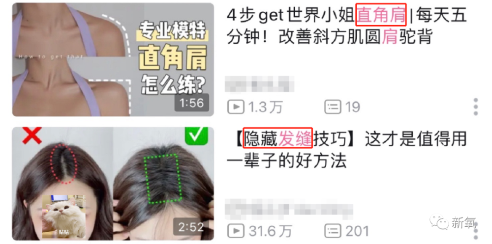 看了刘亦菲的无痕卧蚕，终于不焦虑了…