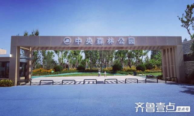 秋风送爽济钢中央森林公园秋色正好