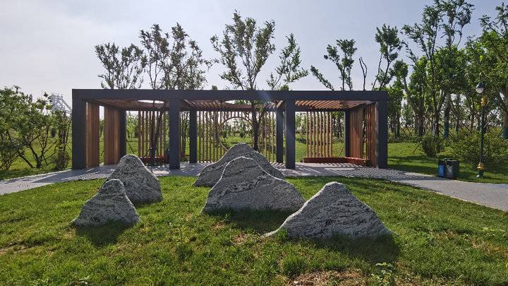 秋风送爽,济钢中央森林公园秋色正好_腾讯新闻