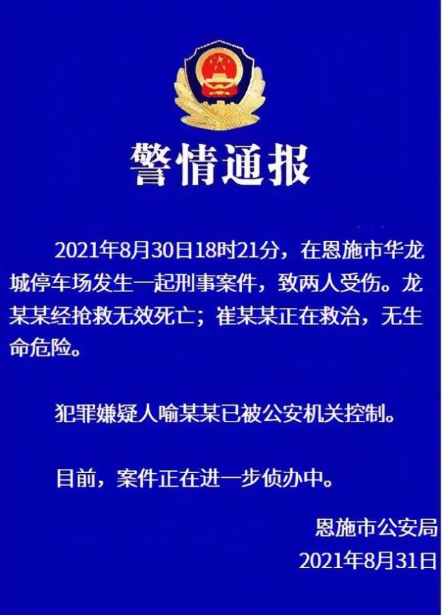恩施首富华龙董事长被股东蓄意开车撞死名下医院家喻户晓所建住宅奢华