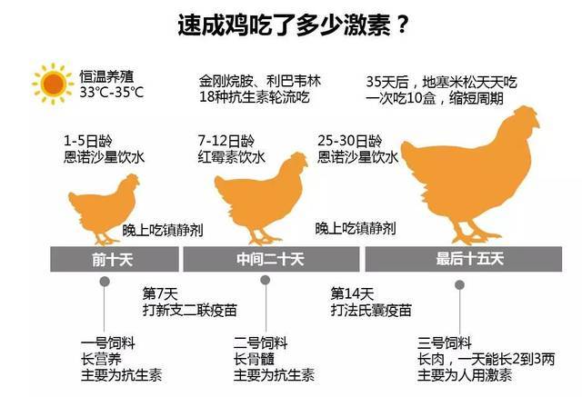 你吃的鸡一辈子走路不超过3米,45天的生长周期,该如何识别?