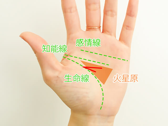 一目了然 男朋友不断的异性缘女人的手相 腾讯新闻