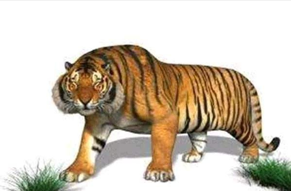 传闻中的驴头虫,老被狗子,过山黄真实存在吗?原型是什么动物